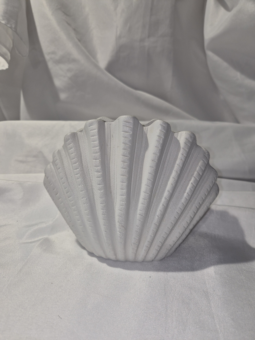 White Shell Decorative Sculpture - Home Art